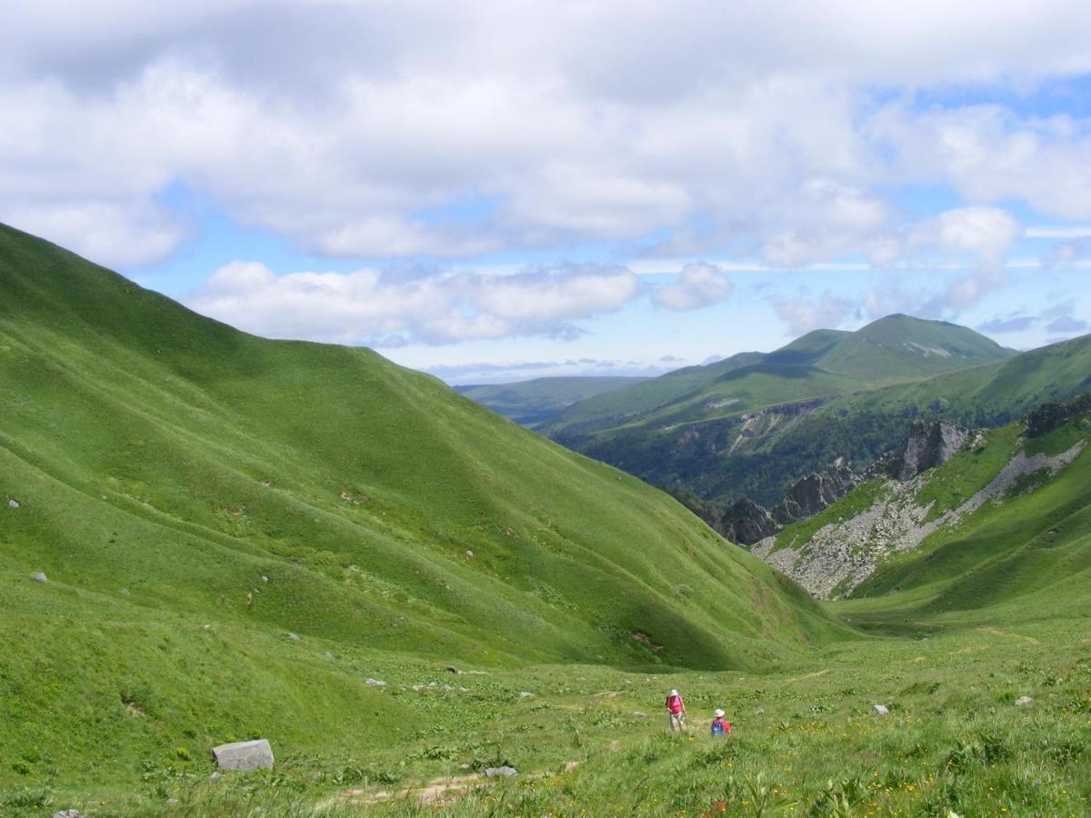 Logis Las Crozas La Cocotte Vernines Zewnętrze zdjęcie