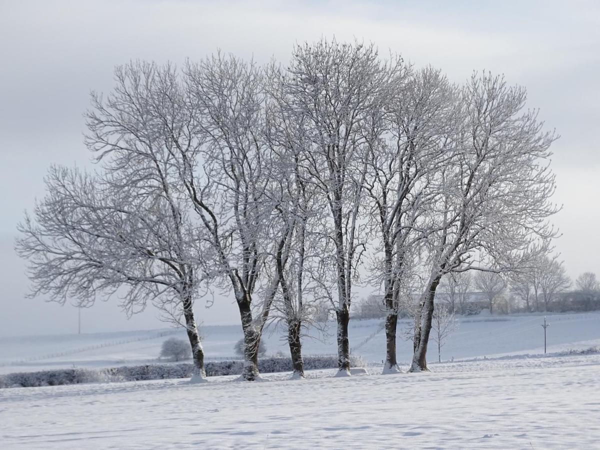 Logis Las Crozas La Cocotte Vernines Zewnętrze zdjęcie